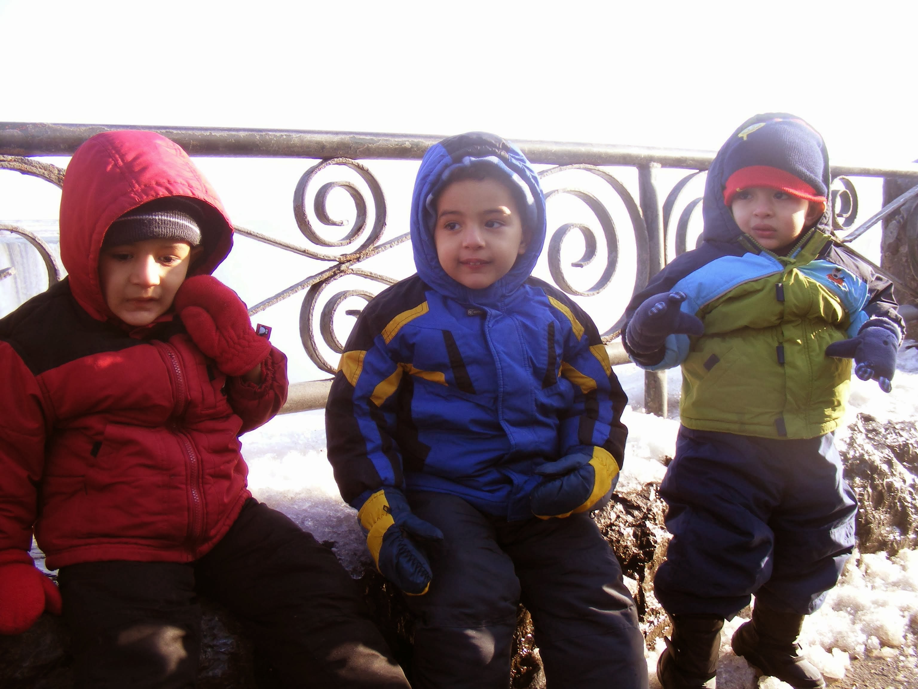 3 Brothers and one very cold day at the falls.